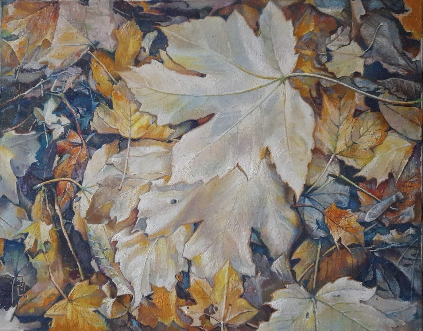 Autumn leaves
